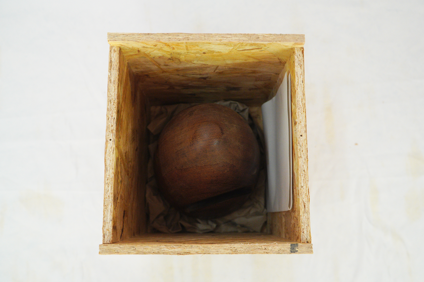 Wooden Shark Head Figure