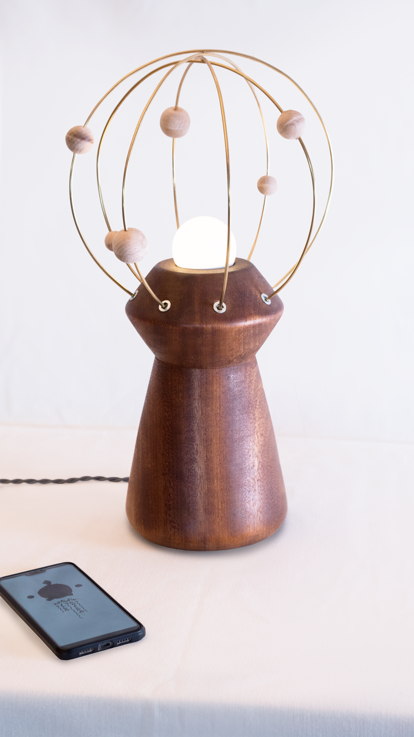 Wood and Brass Cosmos Table Lamp