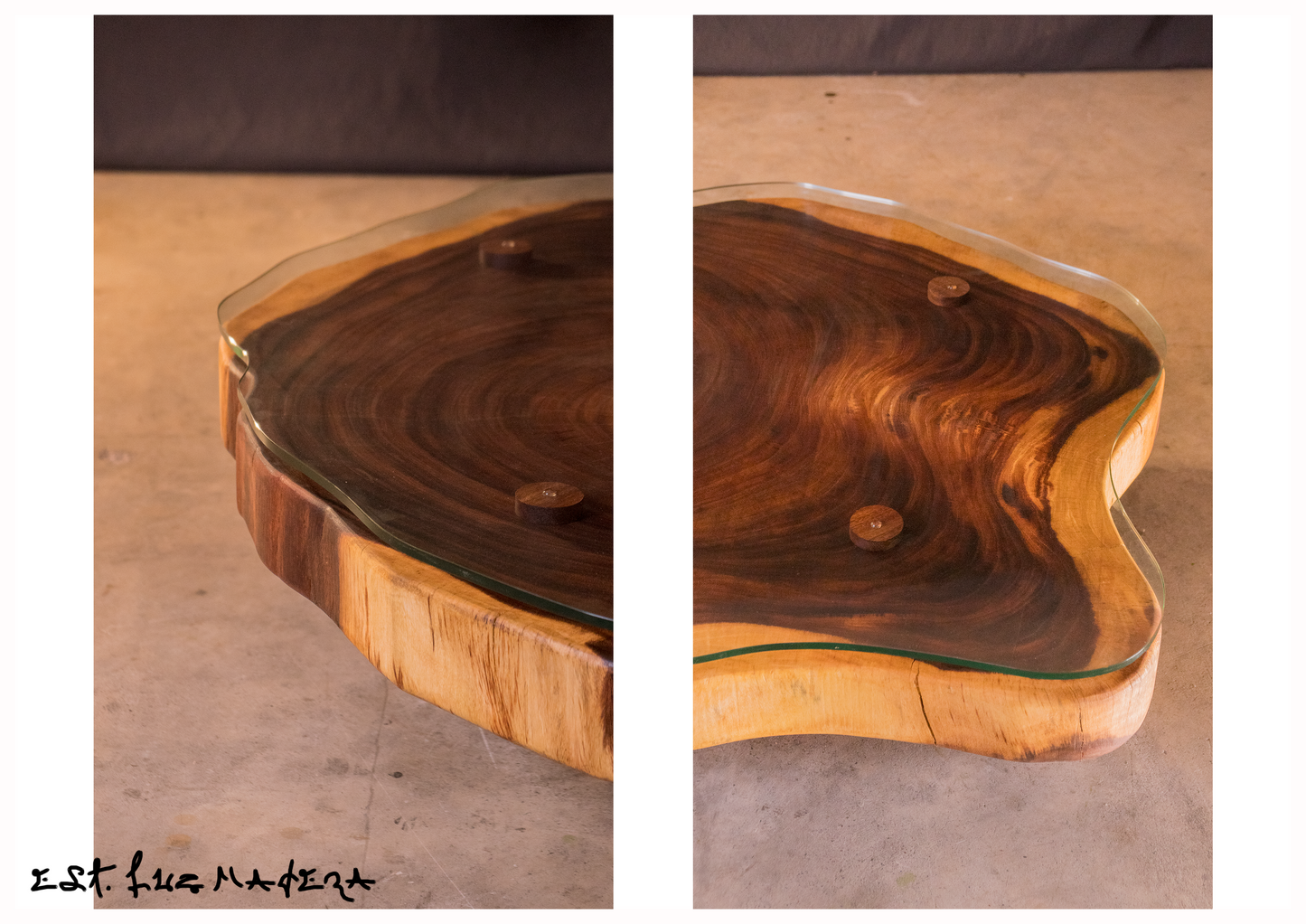 "Amber Slice" Wood Coffee Table