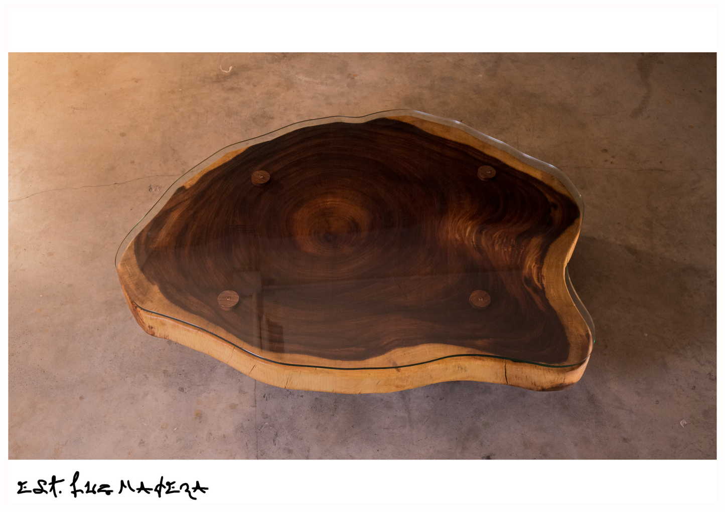 "Amber Slice" Wood Coffee Table